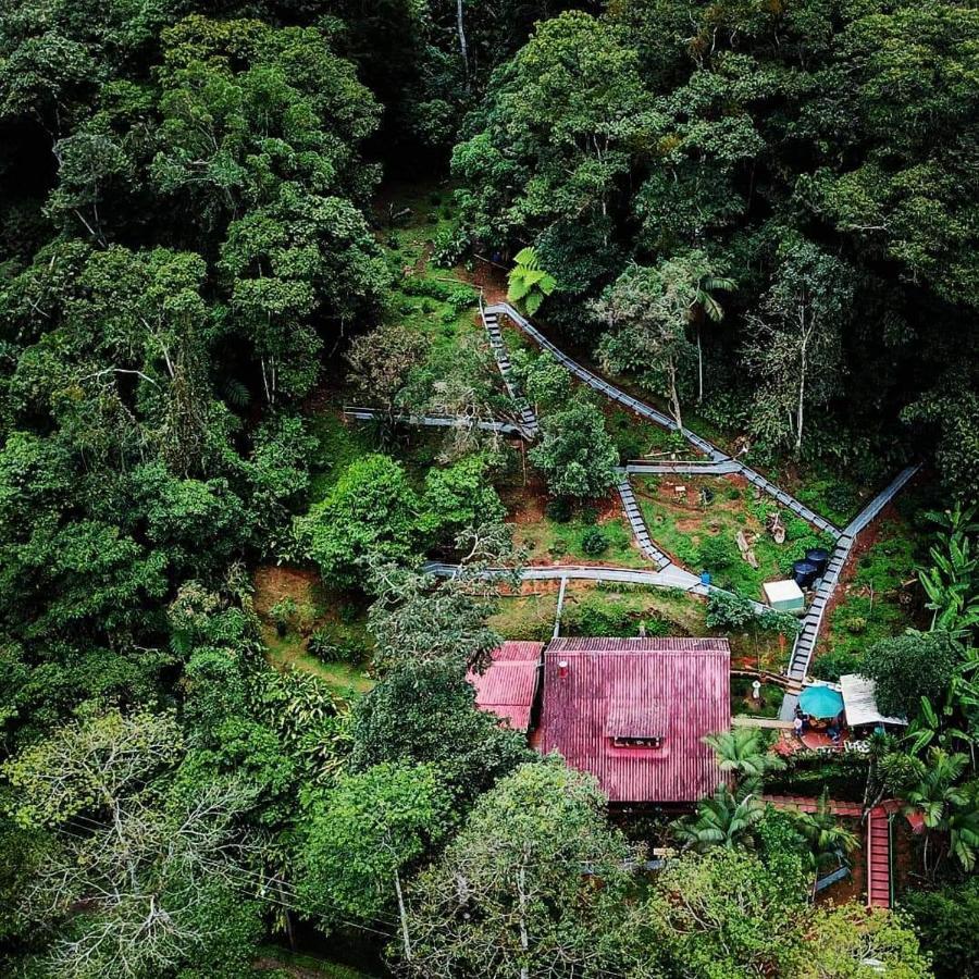 Bosque de Niebla Birding&Nature Cali Extérieur photo