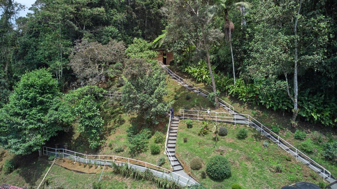 Bosque de Niebla Birding&Nature Cali Extérieur photo