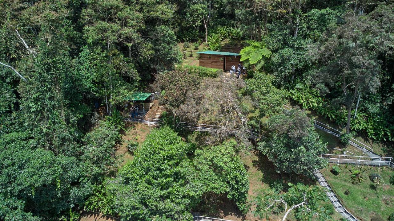 Bosque de Niebla Birding&Nature Cali Extérieur photo