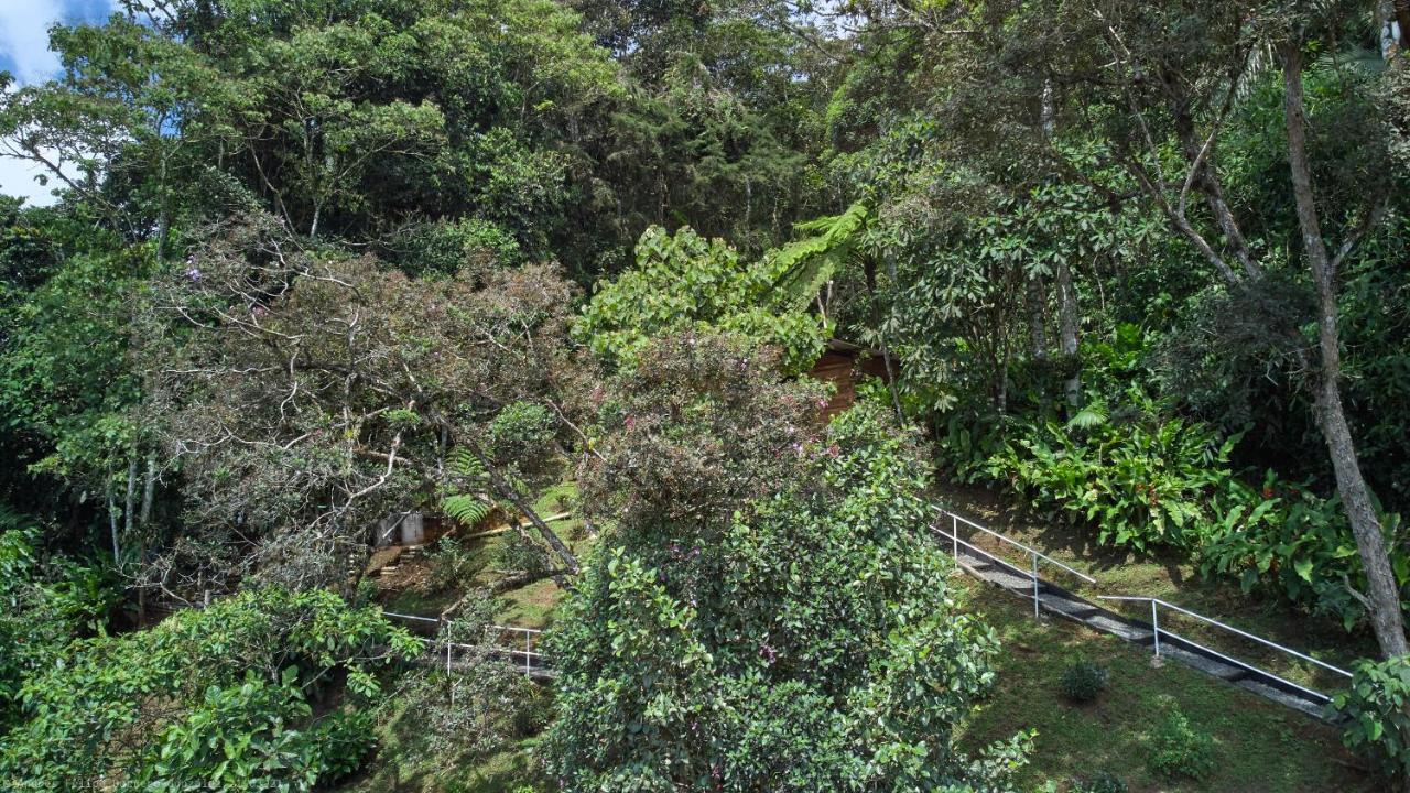 Bosque de Niebla Birding&Nature Cali Extérieur photo